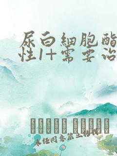 尿白细胞酯酶阳性1+需要治疗吗