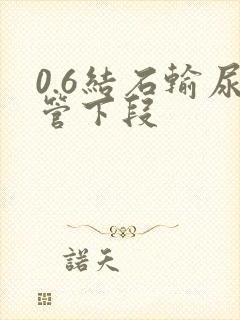 0.6结石输尿管下段