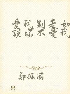 爱我别走如果你说你不爱我什么歌