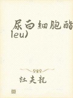 尿白细胞酯酶(leu)