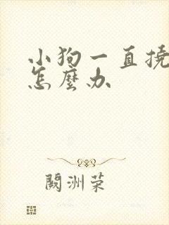 小狗一直挠痒痒怎么办