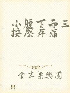 小腹下面三角区按压疼痛