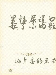 男性尿道口旁边起了小肉粒