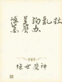 博美狗乱拉乱尿怎么办