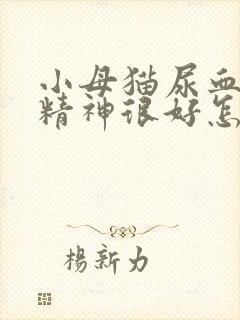 小母猫尿血但是精神很好怎么回事