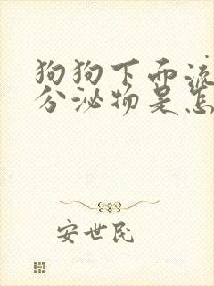 狗狗下面流白色分泌物是怎么回事