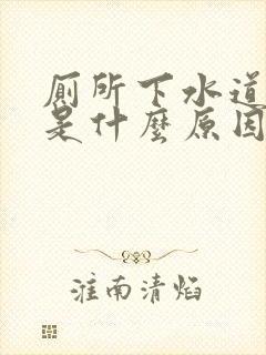 厕所下水道反臭是什么原因