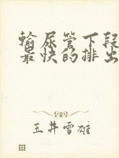 输尿管下段结石最快的排出方法是