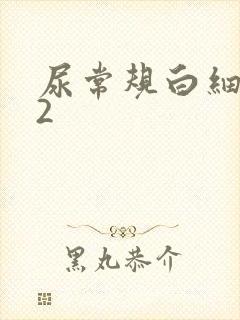 尿常规白细胞十2