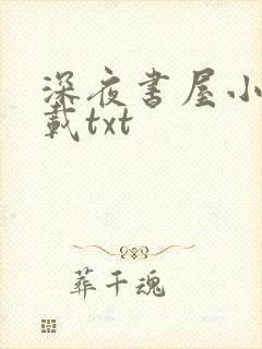 深夜书屋小说下载txt