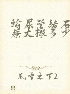 输尿管结石病治疗大概多少钱