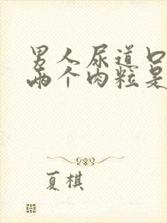 男人尿道口长了两个肉粒是怎么回事