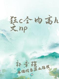 狂c全肉高h辣文np
