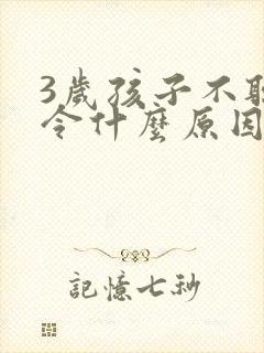 3岁孩子不听指令什么原因