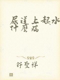 尿道上起水泡是什么病