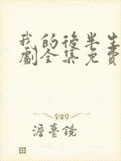 我的后半生电视剧全集免费播放高清版