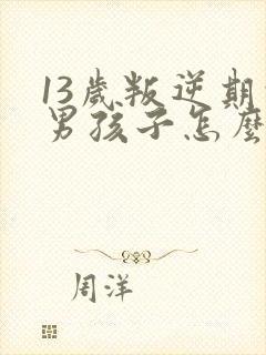 13岁叛逆期的男孩子怎么去引导