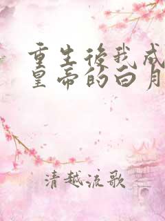 重生后我成为了皇帝的白月光