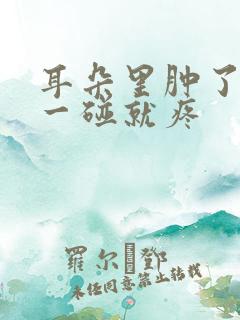 耳朵里肿了个包一碰就疼