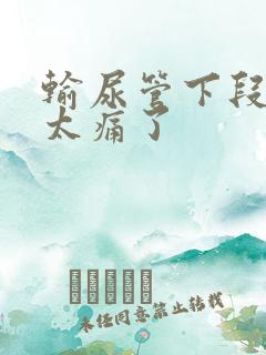 输尿管下段结石太痛了