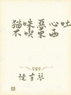 猫咪恶心吐黄水不吃东西