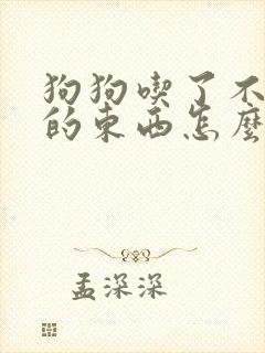 狗狗吃了不消化的东西怎么办