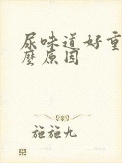 尿味道好重是什么原因