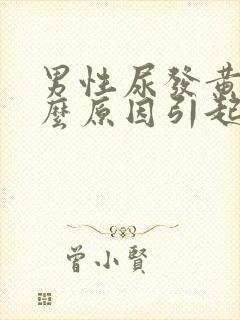 男性尿发黄是什么原因引起的