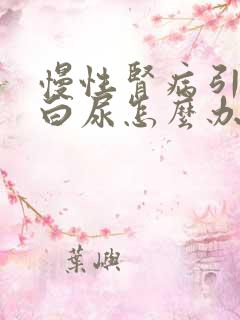 慢性肾病引起蛋白尿怎么办