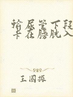 输尿管下段结石卡在膀胱入口