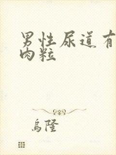 男性尿道有白色肉粒