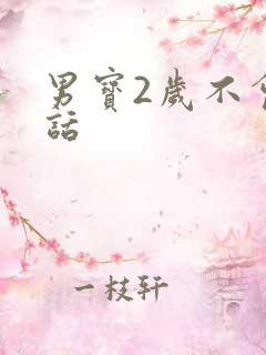 男宝2岁不会说话