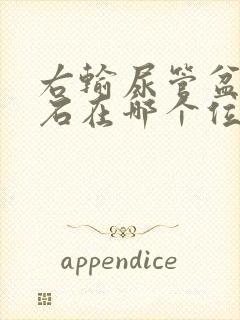 右输尿管盆段结石在哪个位置