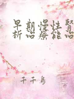 早期慢性肾病透析治疗能治吗