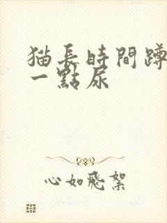 猫长时间蹲厕所一点尿