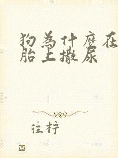 狗为什么在车轮胎上撒尿