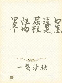 男性尿道口长了个肉粒是怎么回事