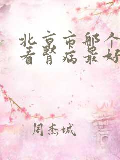 北京市那个医院看肾病最好