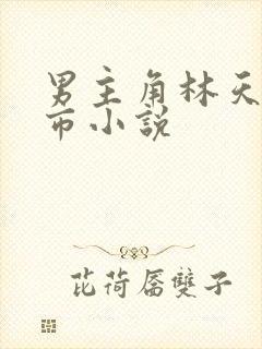 男主角林天的都市小说