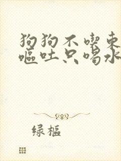 狗狗不吃东西还呕吐只喝水