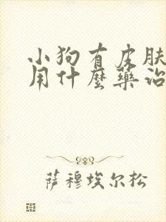 小狗有皮肤病了用什么药治疗