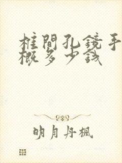 椎间孔镜手术大概多少钱