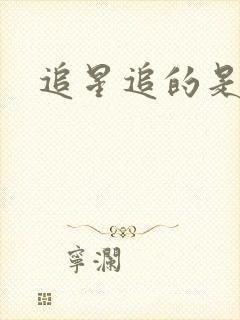 追星追的是什么