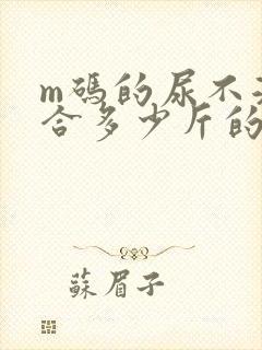 m码的尿不湿适合多少斤的宝宝