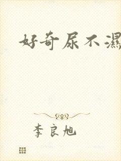 好奇尿不湿假的