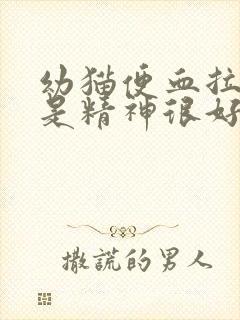 幼猫便血拉稀但是精神很好