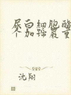 尿白细胞酯酶2个加号严重吗