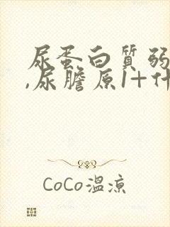 尿蛋白质弱阳性,尿胆原1+什么意思?