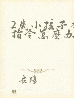 2岁小孩子不听指令怎么办