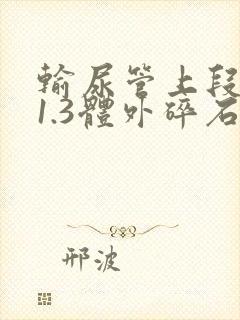 输尿管上段结石1.3体外碎石可以吗